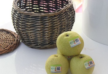 �r(n��ng)�a(ch��n)Ʒ�|(zh��)����ȫ׷��ϵ�y(t��ng)